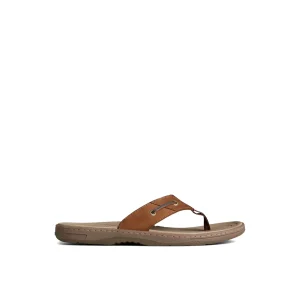 Sperry Sandals^Baitfish Leather Flip Flop