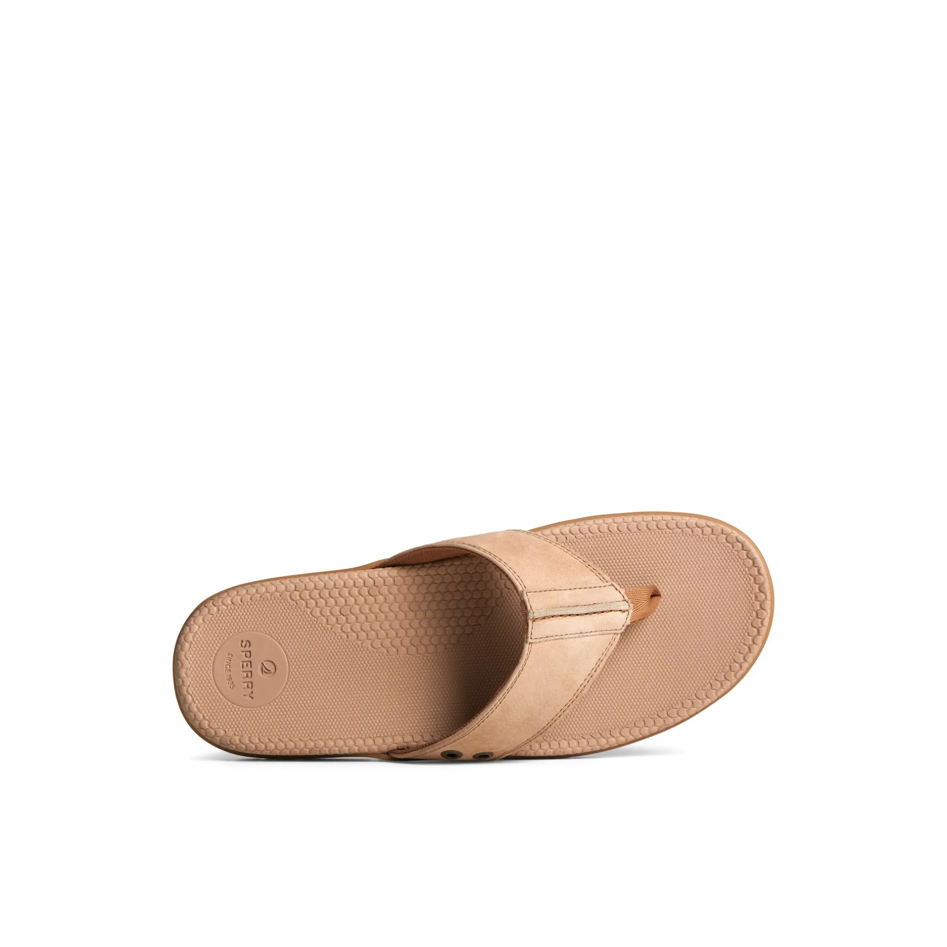 Sperry Sandals^Santa Cruz II Thong Sandal