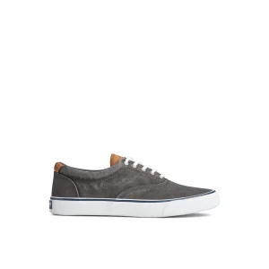 Sperry Shoes | Sneakers^Striper II CVO Sneaker
